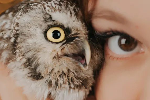 BoaBoa Casino Soporte